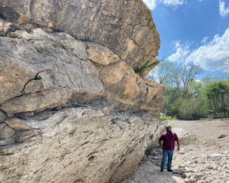 Anacacho Limestone - David Ferrill
