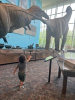 Dinosaur-Model-GeoLifestyle