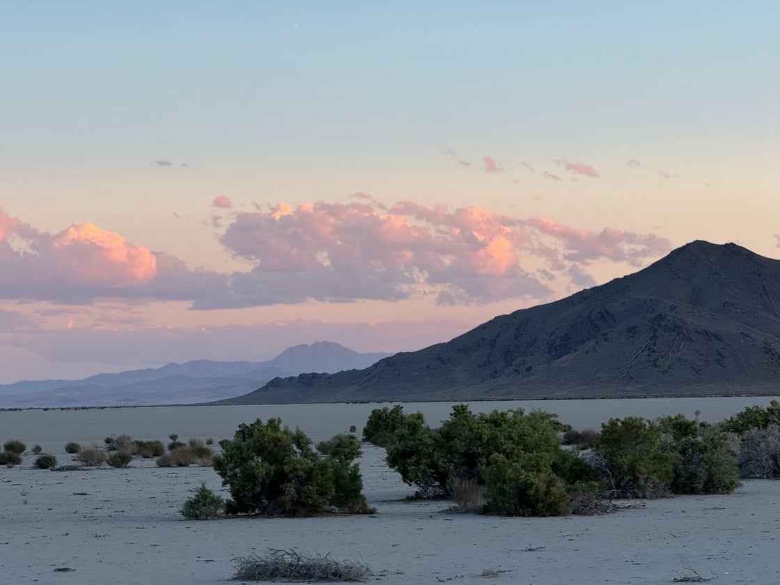 JungoFlat_RyanParkyn