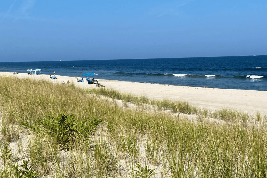 LBI sand horizontal