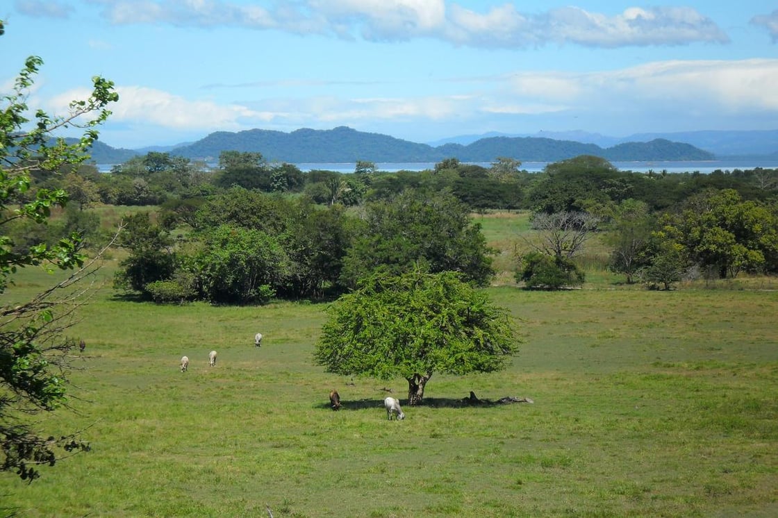 Landscape,_Nicoya_Peninsula,_Costa_Rica