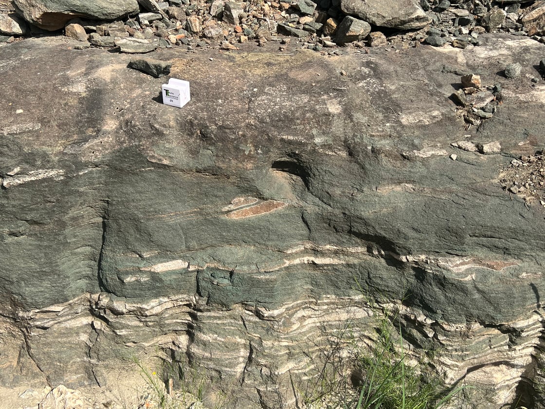 Lion Sandstone_Molly Turko