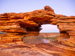 NaturesWindow_ChristinSchulz