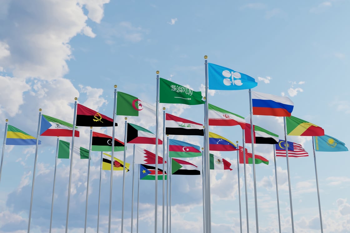 OPEC+ Flags