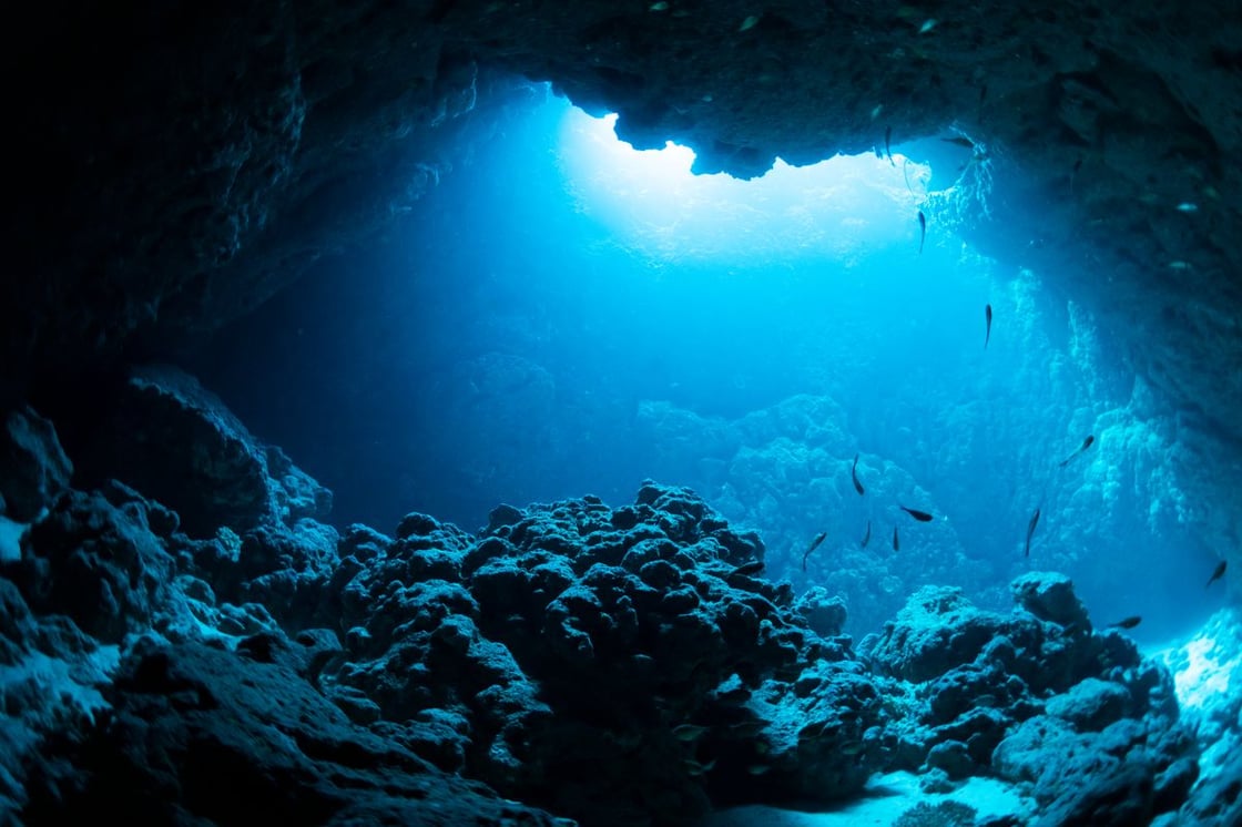UnderwaterWithLight_Divedog