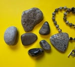 PetoskeyStones_SharonLyon