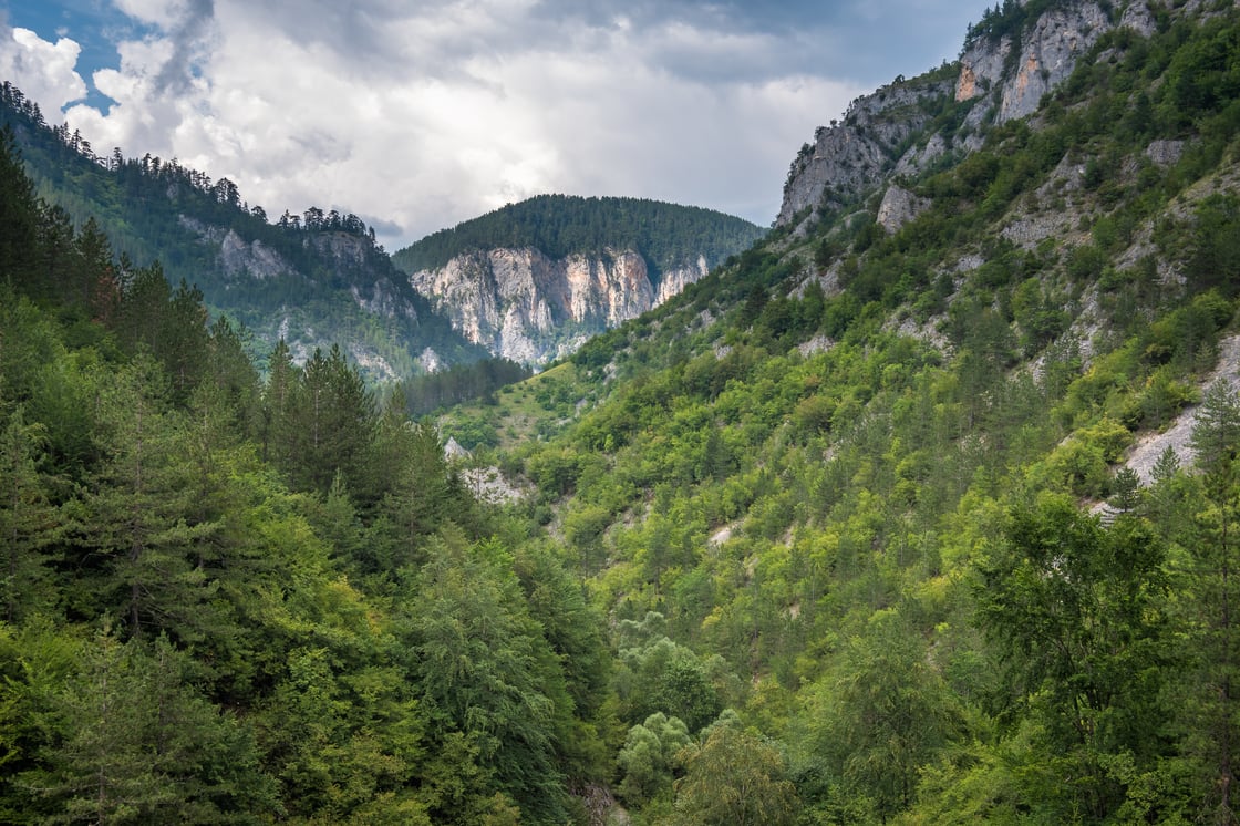 RhodopeMassifMountainsinBulgaria_PlamPetrov