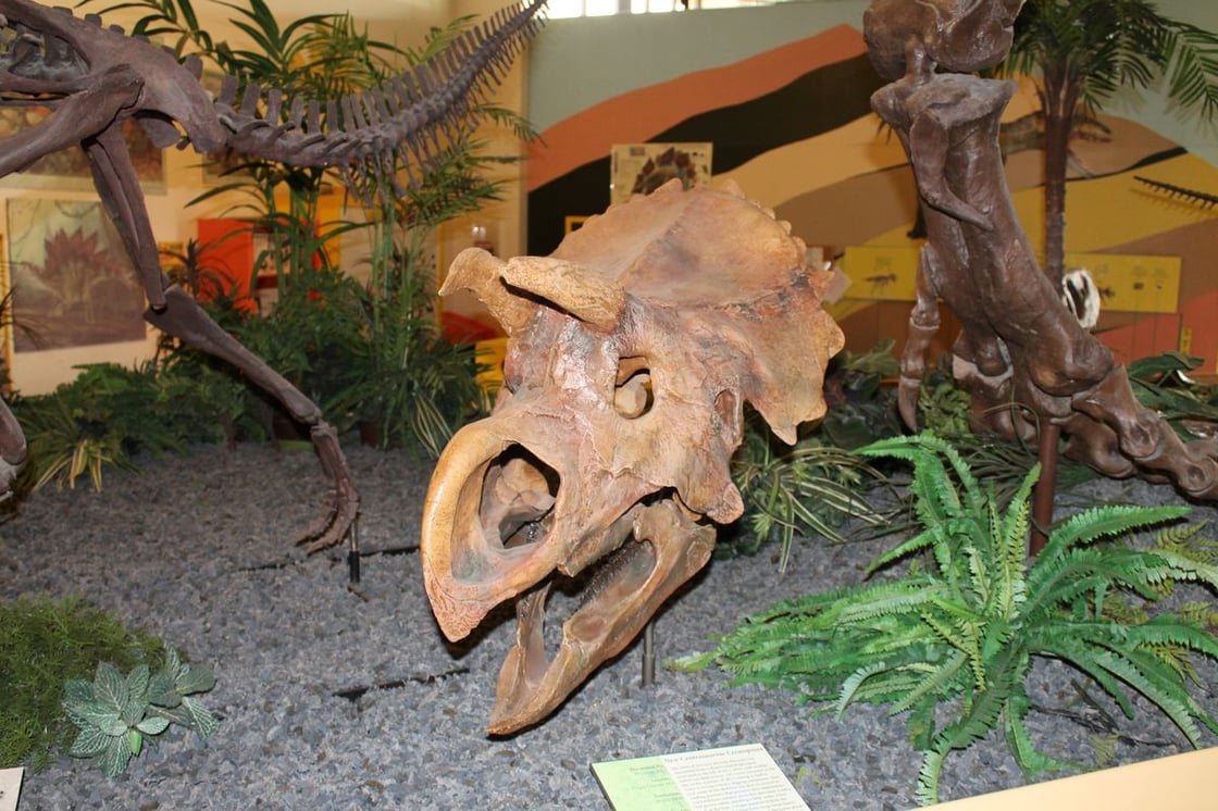 Rocky Mountain Dinosaur Research Center, Woodland Park, CO