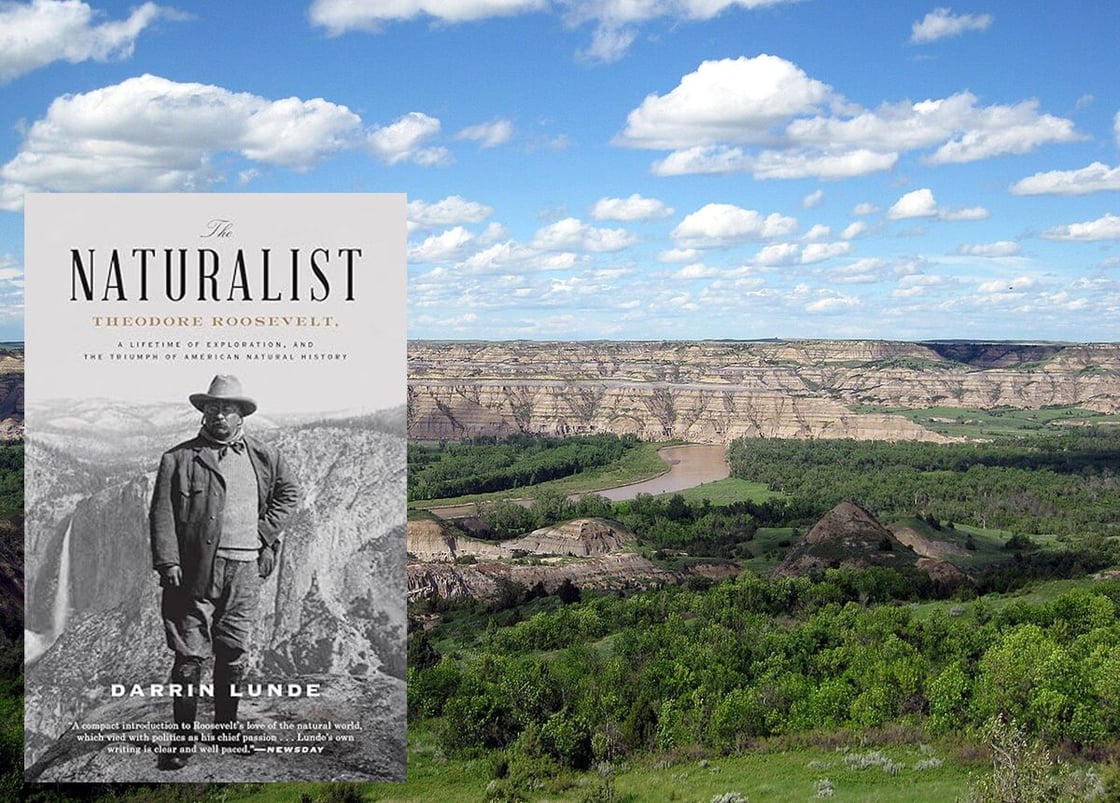 The Naturalist_WikimediaCommons