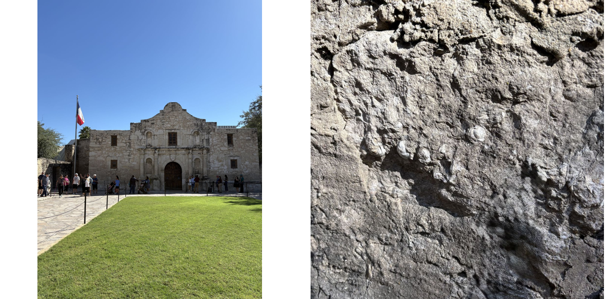 TheAlamo_Limestone_SharonLyon