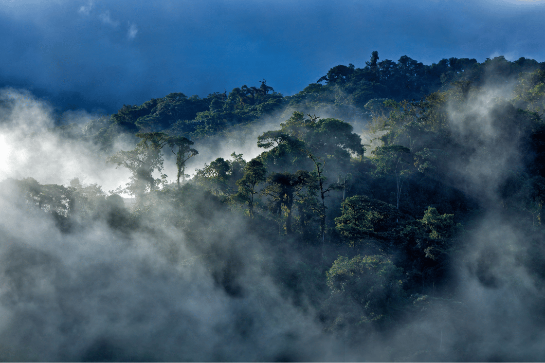 Tropic-Clouds-Ecuador