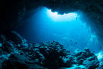 UnderwaterWithLight_Divedog