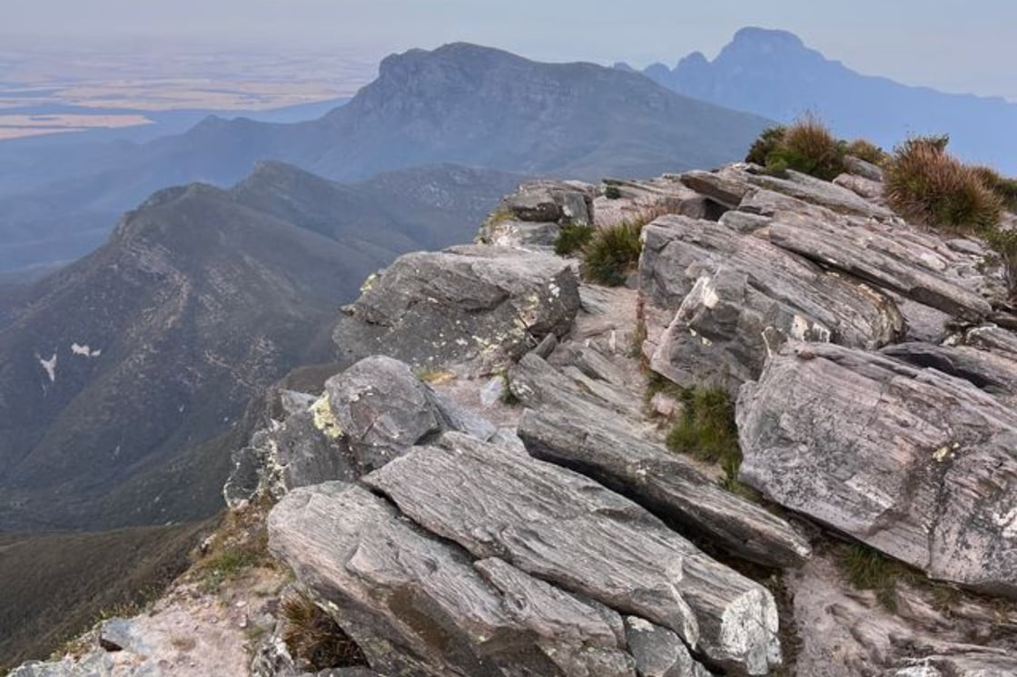 Untitled design (74)