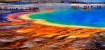 AI_Yellowstone