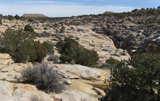 Utah_WhiteRimCedarMesa_Utah Geological Survey