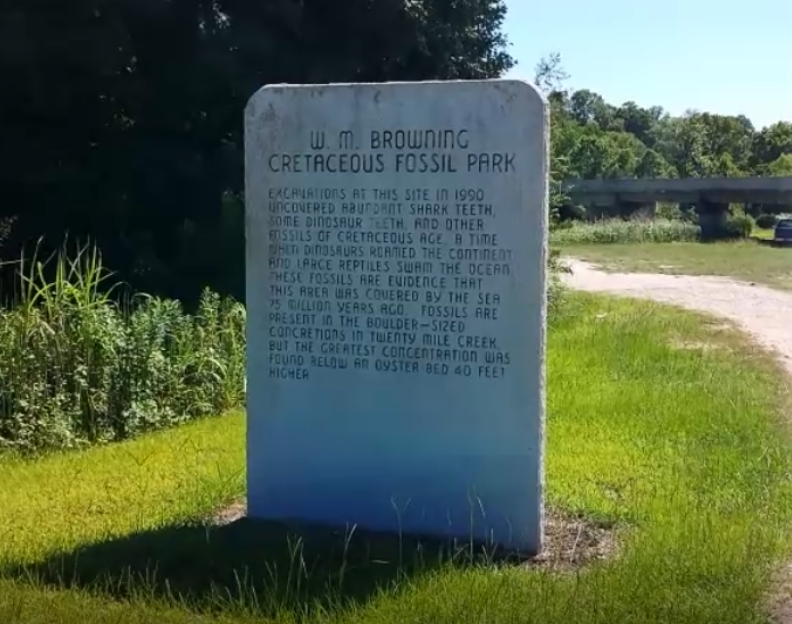 WMBrowningCretaceousFossilPark