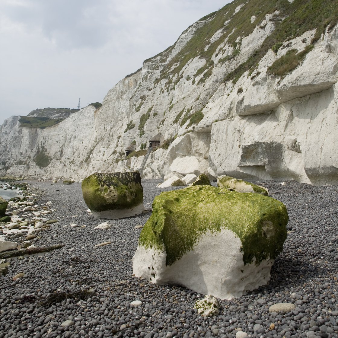 White Cliffs of Dover 2