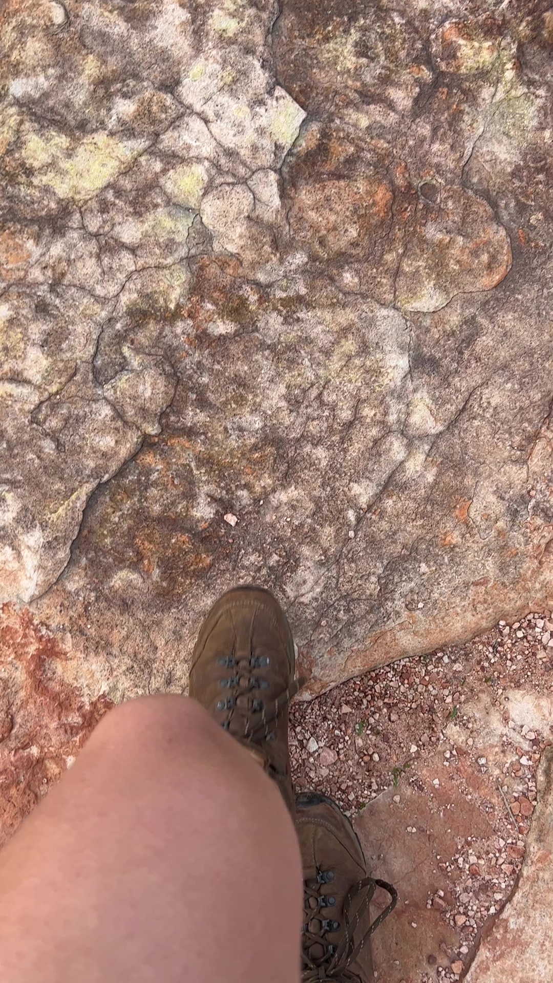 KalbarriPark_ChristinSculz